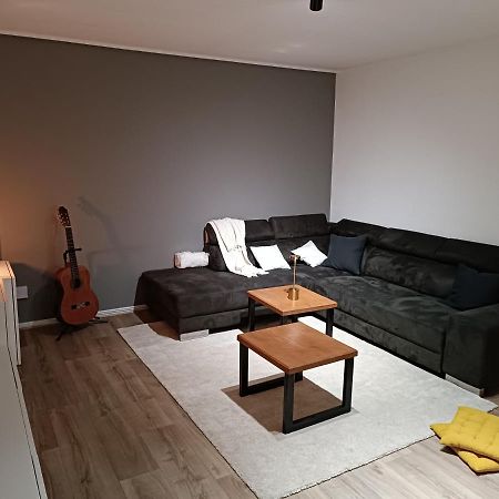 Stylish 1-Bedroom Flat With Beautiful Terrace , For A Cosy Retreat 斯特拉斯堡 外观 照片