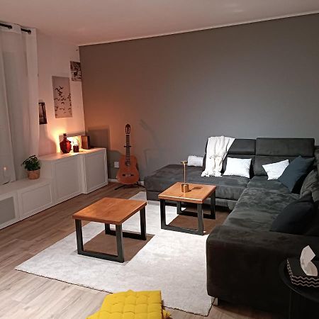 Stylish 1-Bedroom Flat With Beautiful Terrace , For A Cosy Retreat 斯特拉斯堡 外观 照片