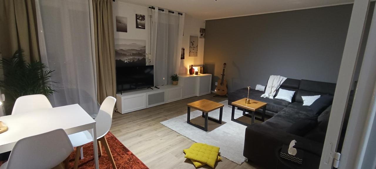 Stylish 1-Bedroom Flat With Beautiful Terrace , For A Cosy Retreat 斯特拉斯堡 外观 照片